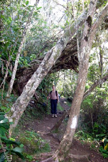 2008-04 Reunion 233.jpg